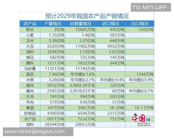 2021年法国足球明星的辉煌成就与未来展望分析